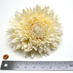 BOTSOLA ZINNIA 20CM